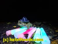 /home//u458753944/public_html/sourcegallery//McKaig Nature Center/2020-10-11/PA110742.JPG